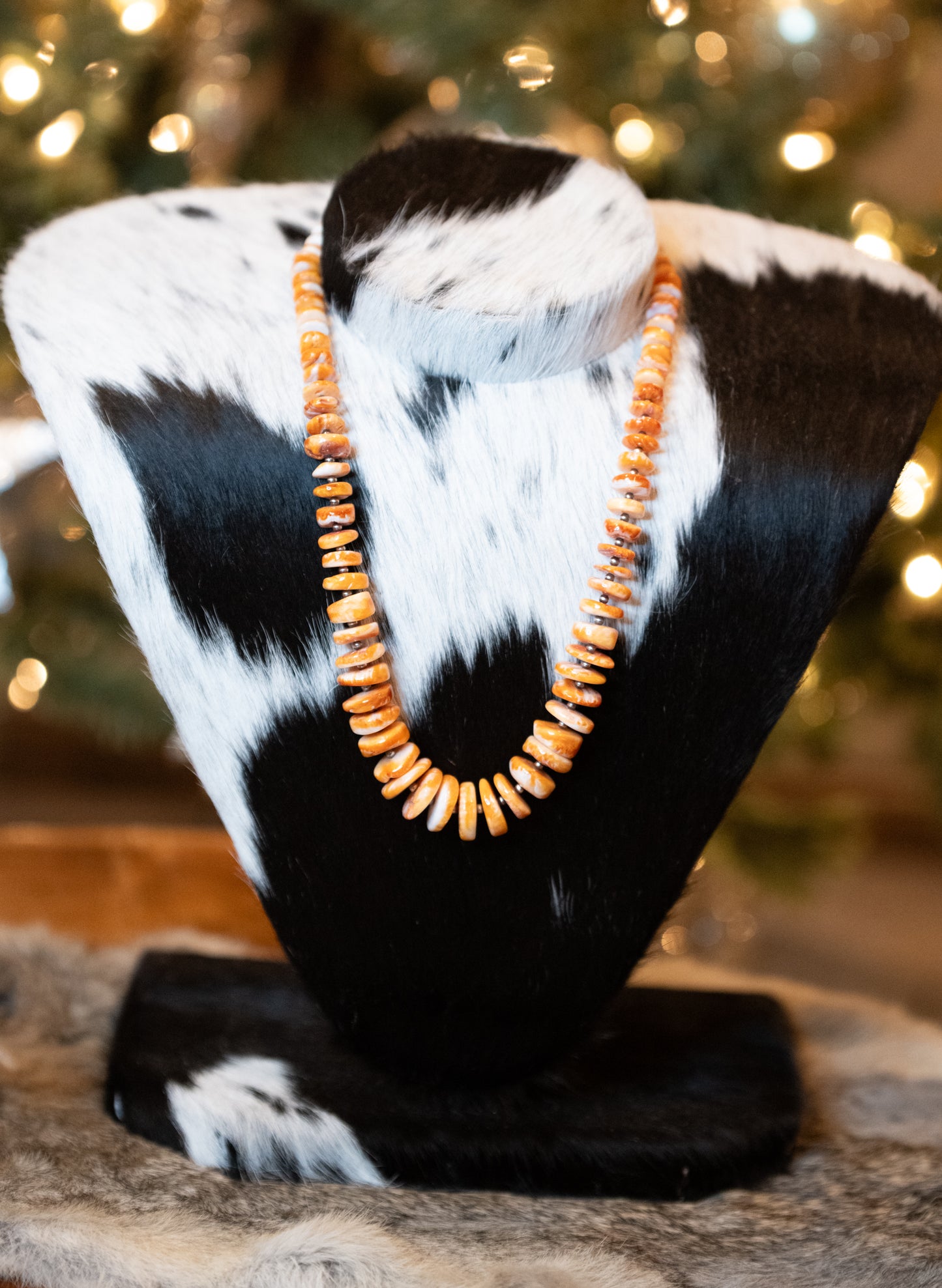 Orange Spiny Statement