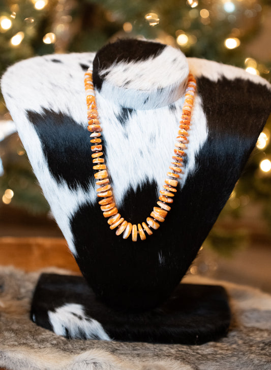 Orange Spiny Statement